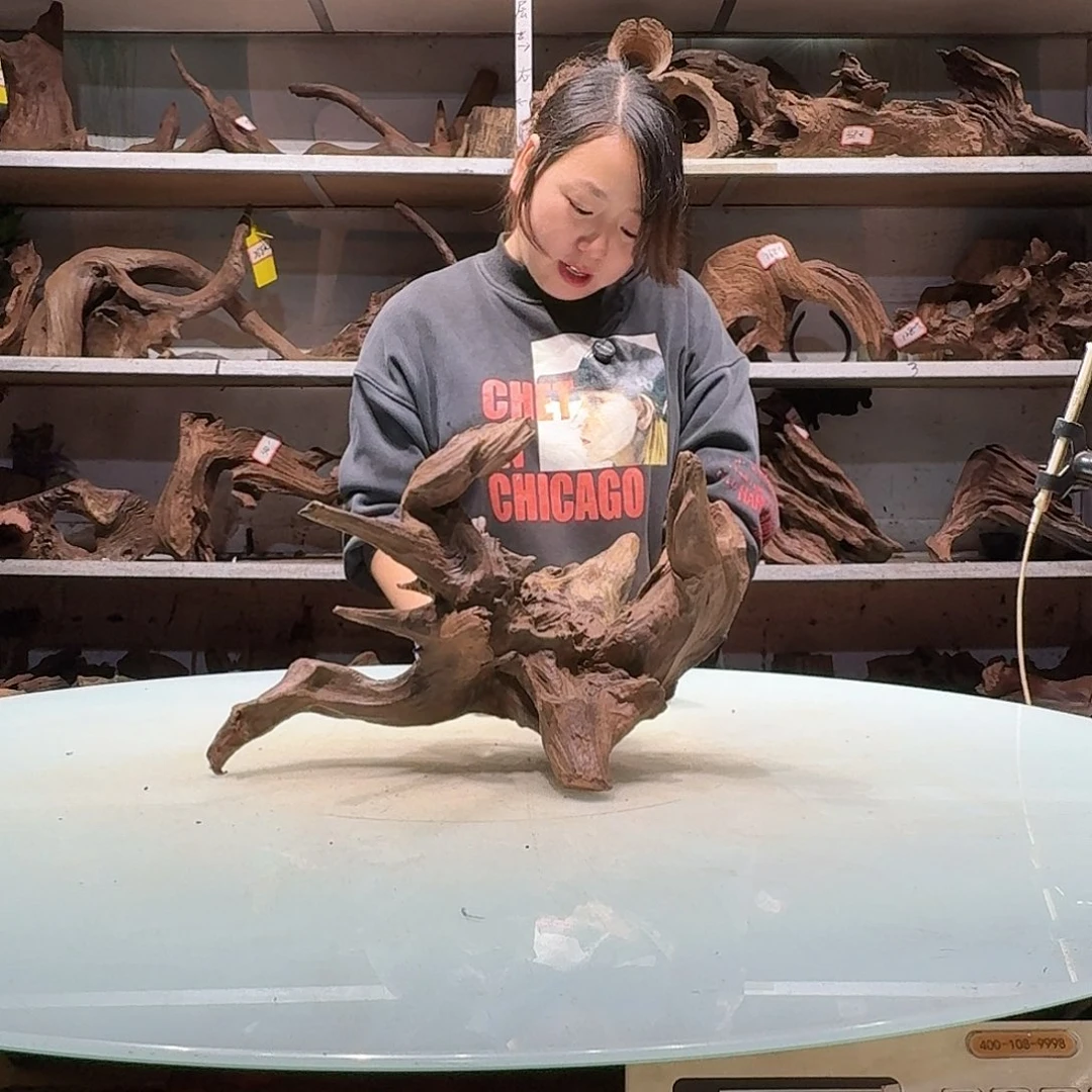 紫砂紫柚镂空不包损3986……