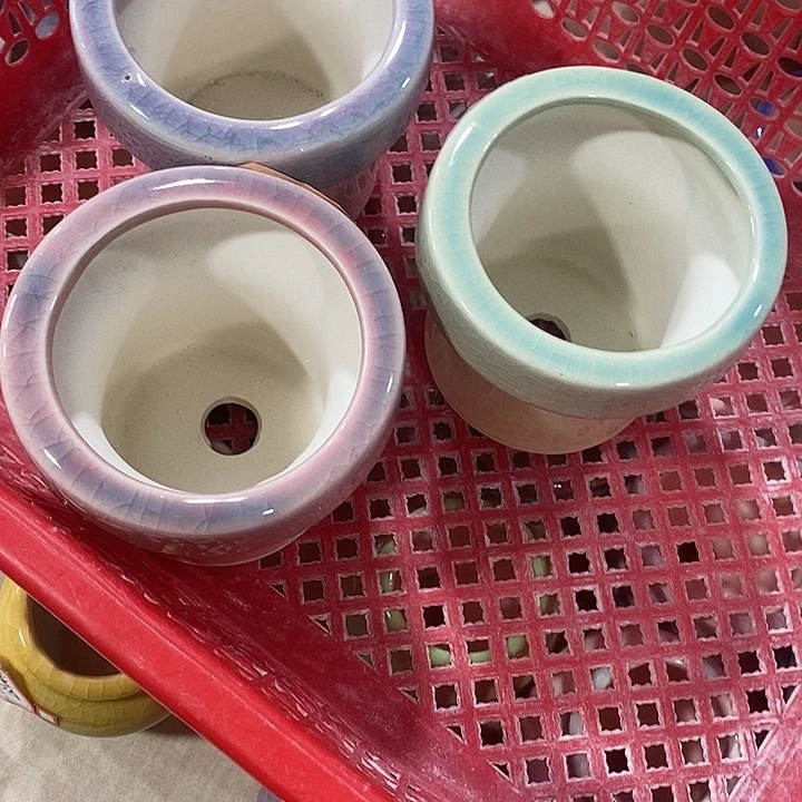 花盆抢购清货马上开始