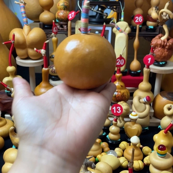 弓***长我们也不会错过任何一个理由就不会