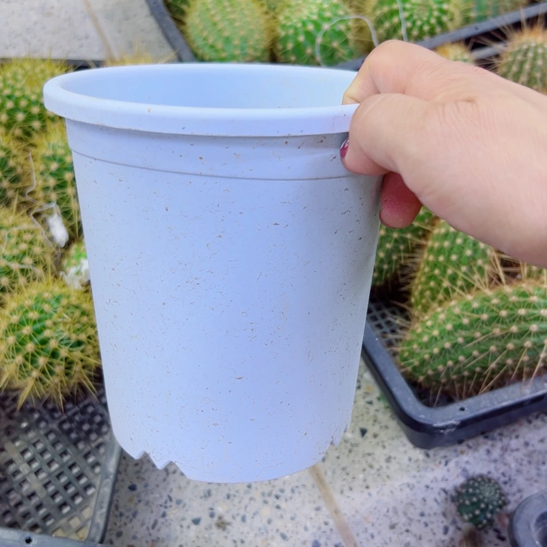 下32小灰白2个口径15高15左右无托盘20包邮