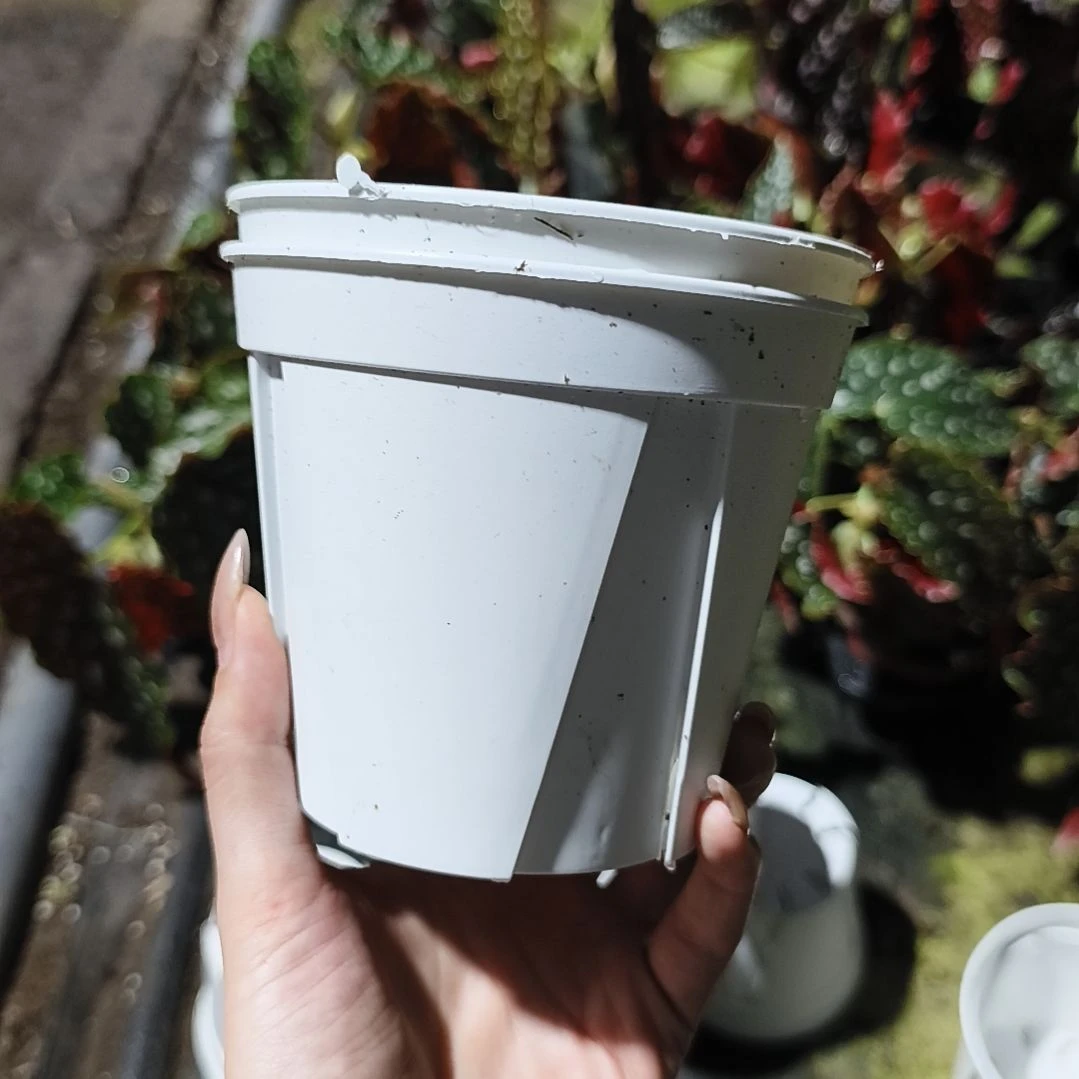 换青山盆120盆控水盆