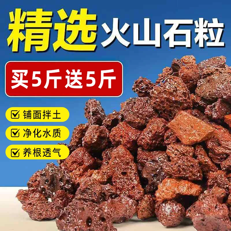 【买5斤送5斤】天然火山石颗粒用于金弹子老鸦柿拌土铺面及鱼缸垫底