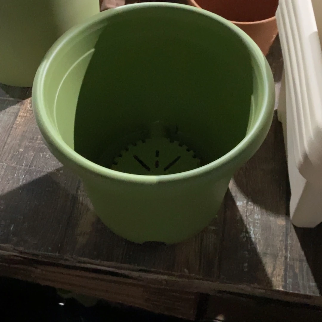 树脂10个25口果绿无托