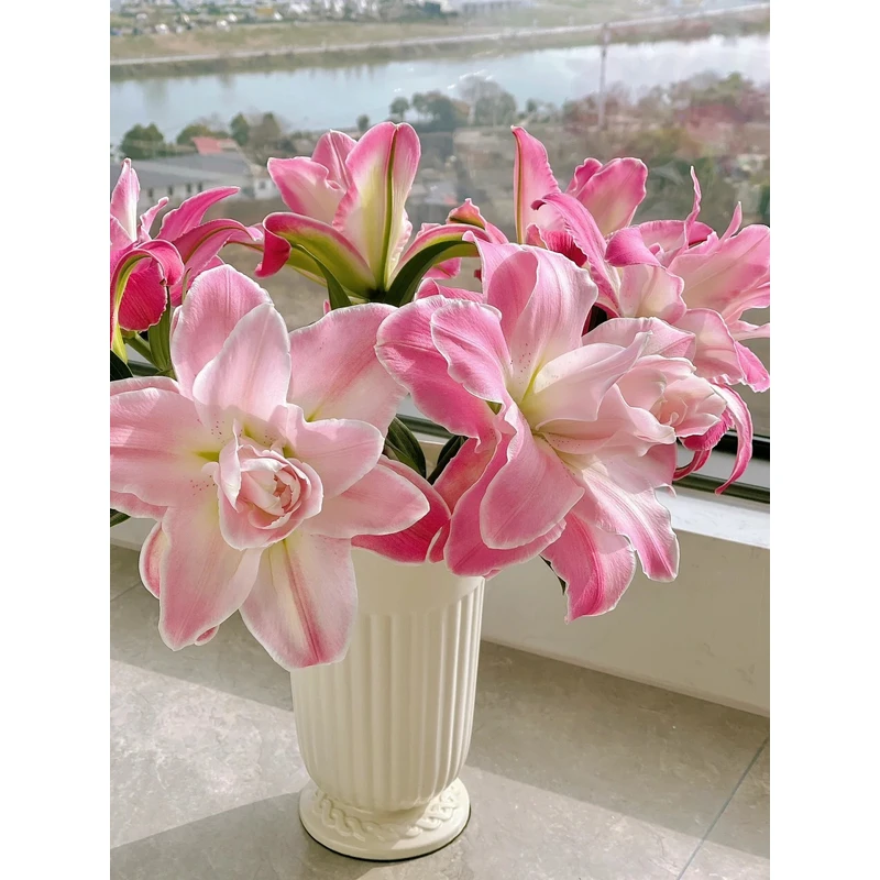 【莲花仙子】重瓣百合 一单包邮 云南鲜花昆明基地现采现发