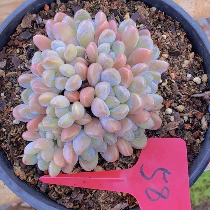 这么多事不给个解释