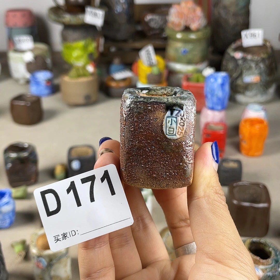 小白孤品 匣钵土  内口2左右