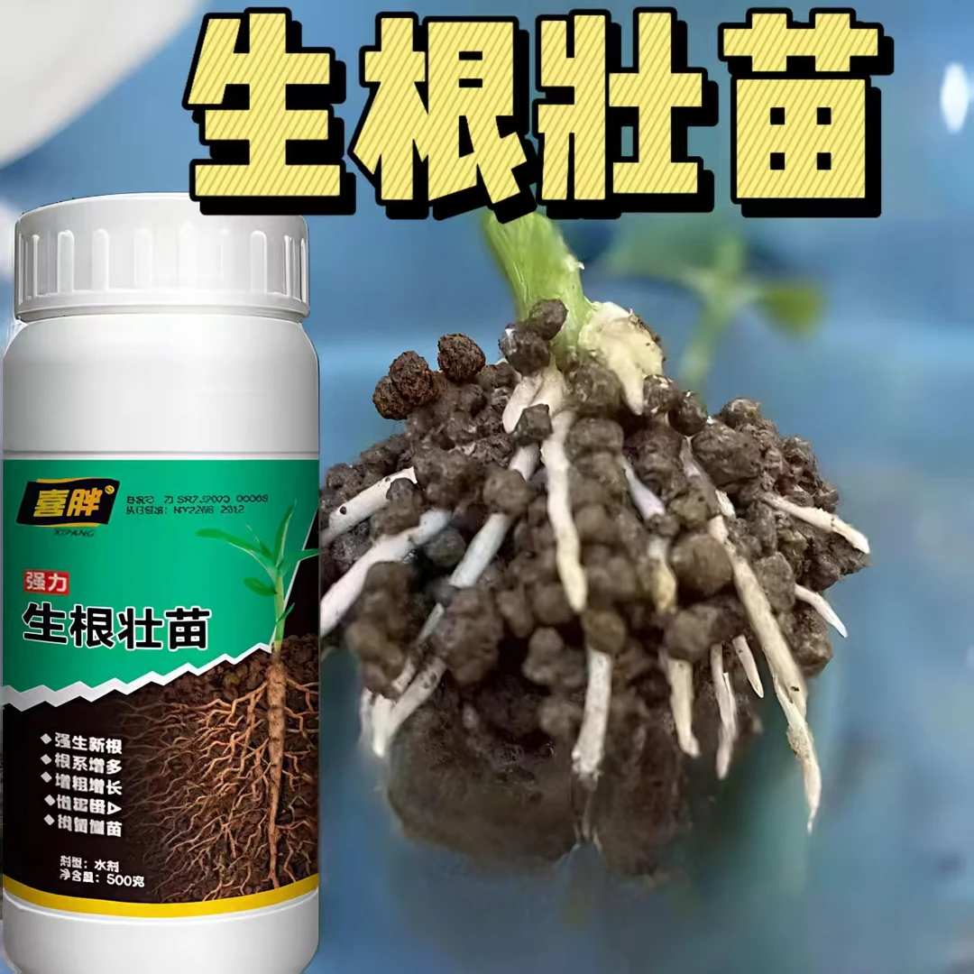 【3天生根】强力生根液植物扦插生根剂快速生根壮苗扦插移栽专用