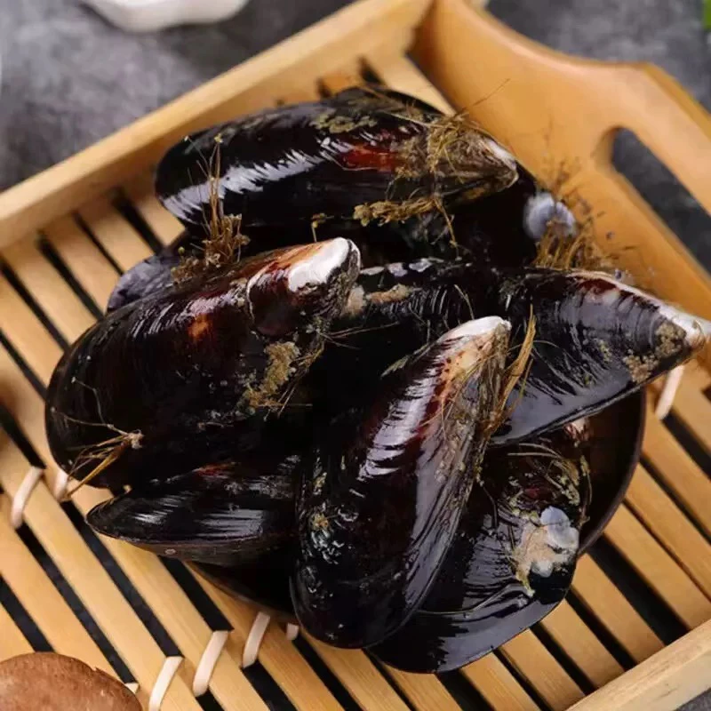 29.9三斤海虹 配送包邮到家