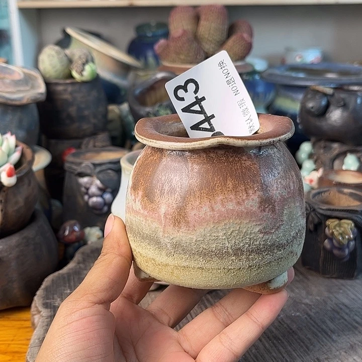 重庆小燕子欢迎大家443