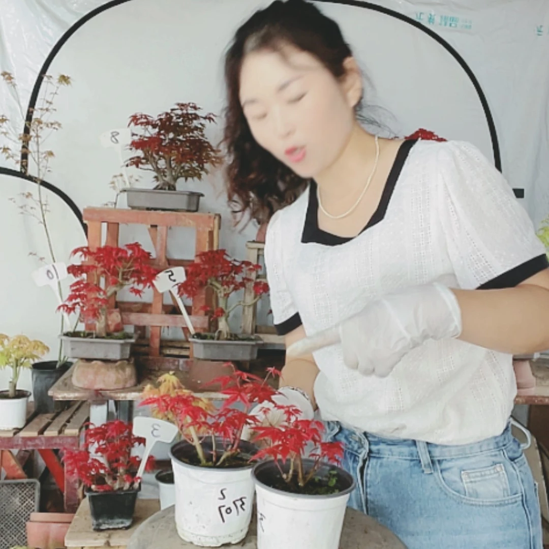 【闪购商品】完全开放何*川