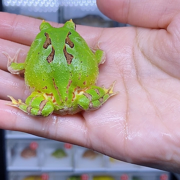 特价秒杀现货特价