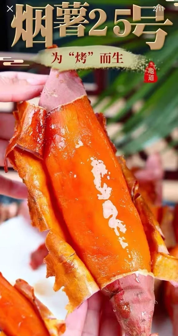 山东沙地战备出国新鲜糖心烟薯25号红薯蜜薯软糯香甜流油烤地瓜