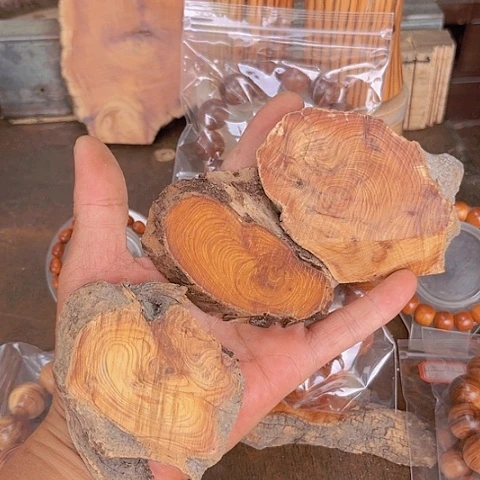 柏木（崖柏）闪购96