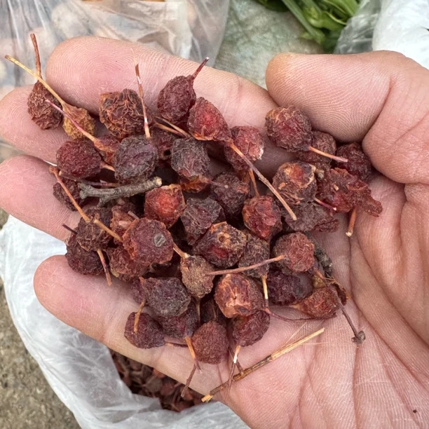 云南野生山楂果山楂干【山脊甄选】