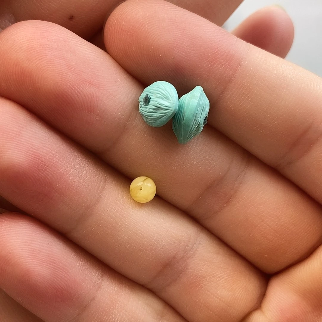 未镶嵌蜜蜡珠宝奇石