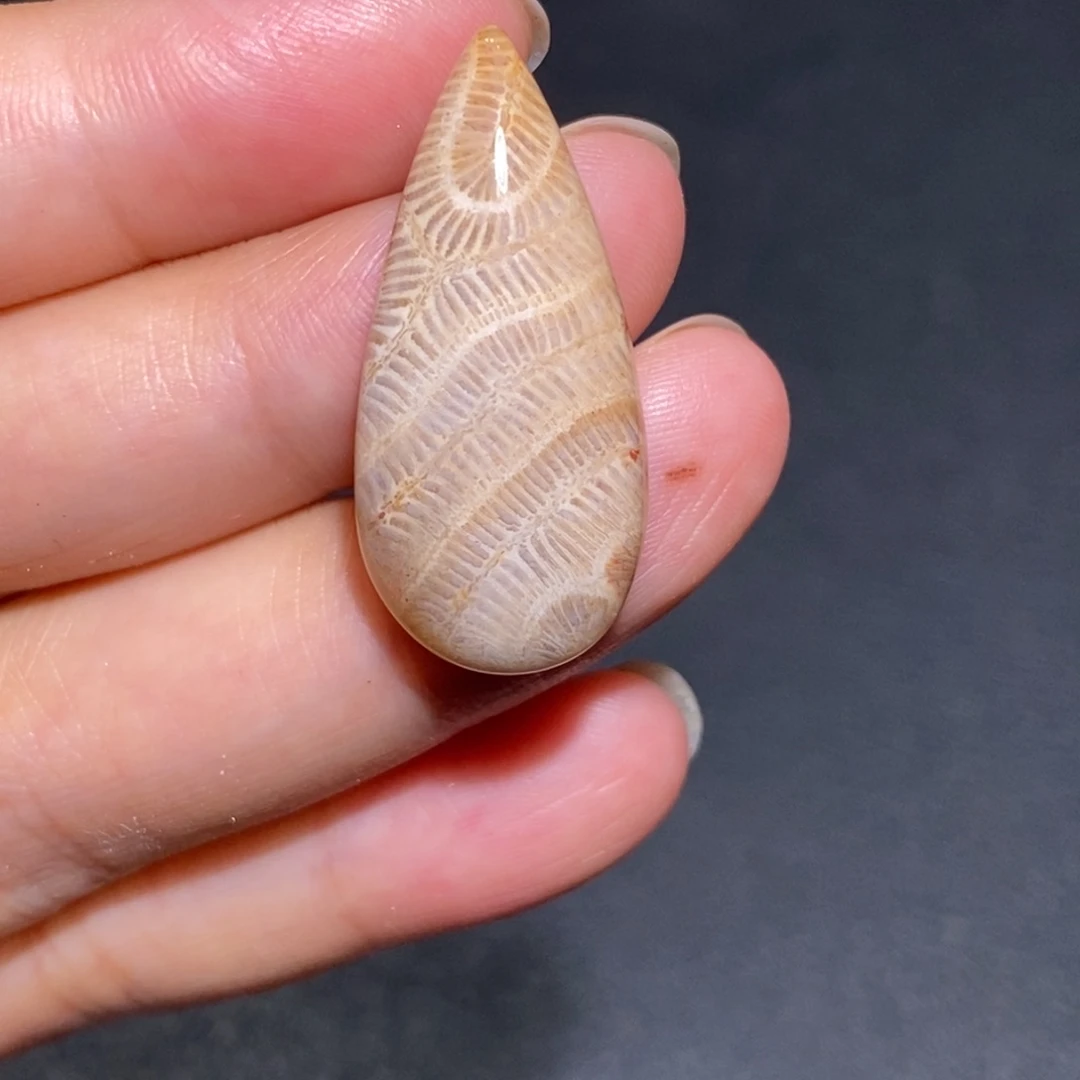【闪购商品】未镶嵌珊瑚玉硅化玉