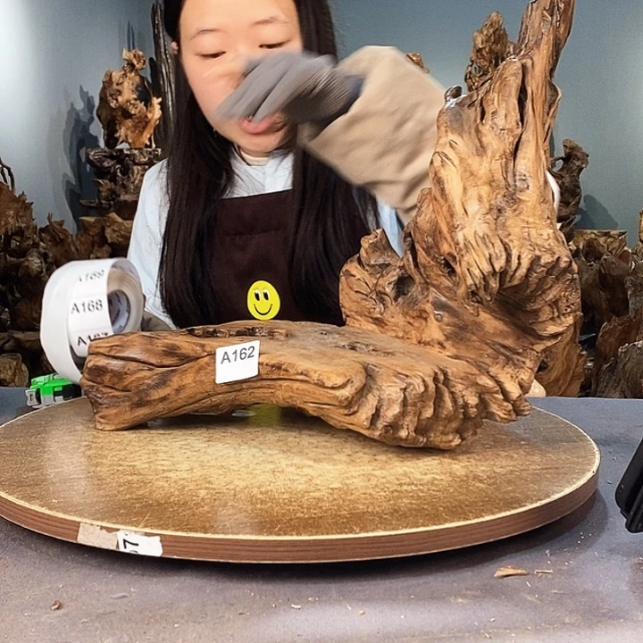 茶盏艾*162株木随行的小根艺