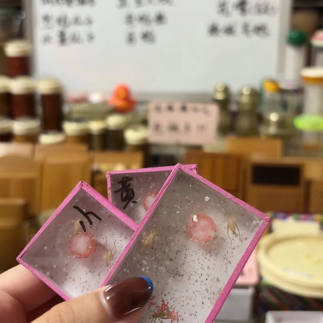 三盒小黄 不包断须尾