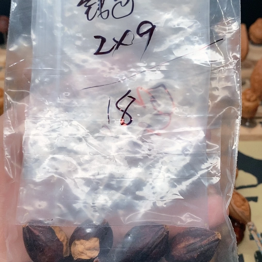 钱***谷橄榄核手串/手链编号3278