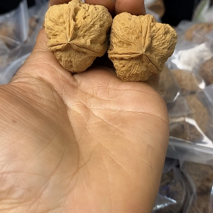 核桃云南铁核桃基地47