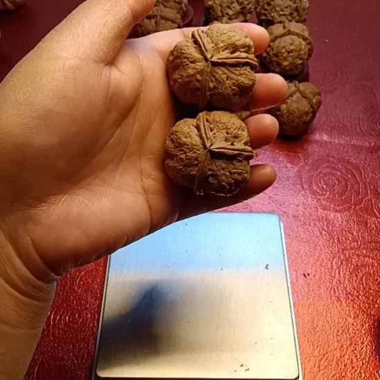 文玩核桃把件迷你三棱闷尖丁字裤3号