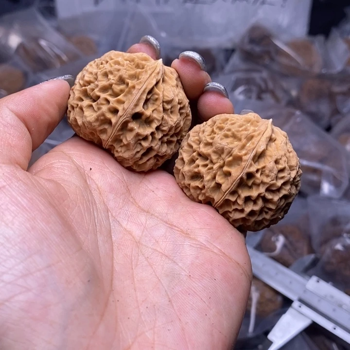 核桃云南野生铁核桃91号41mm