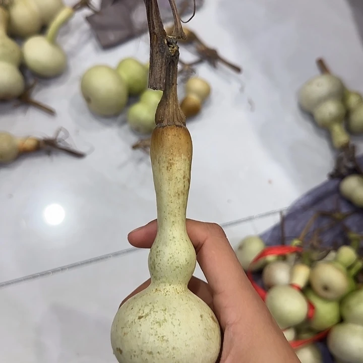 当***猫葫芦ggggggggggggggg