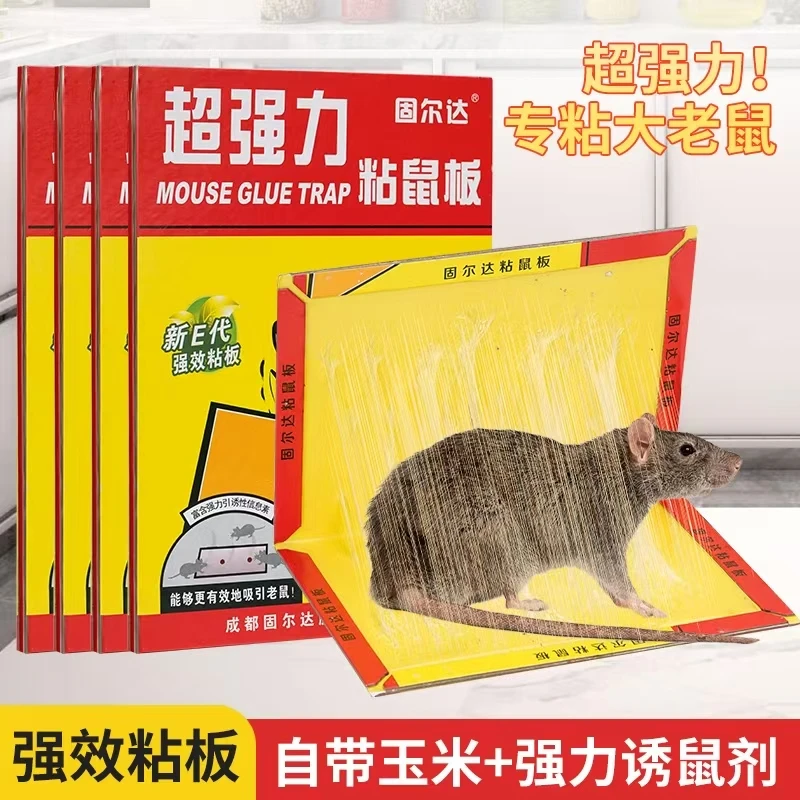 【专为聪明大老鼠而生】超强力粘鼠板家用室内老鼠粘灭鼠捕鼠神器