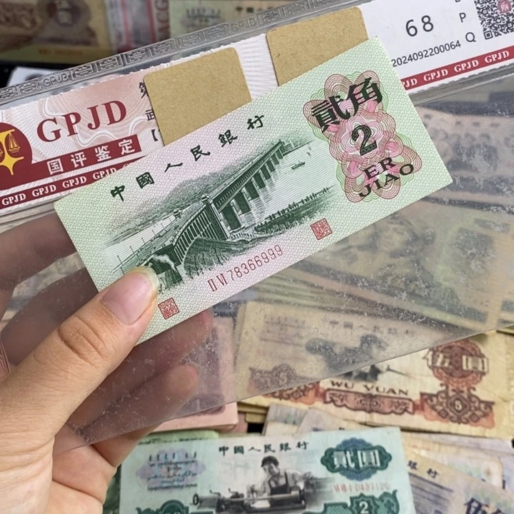 大桥原票豹子尾