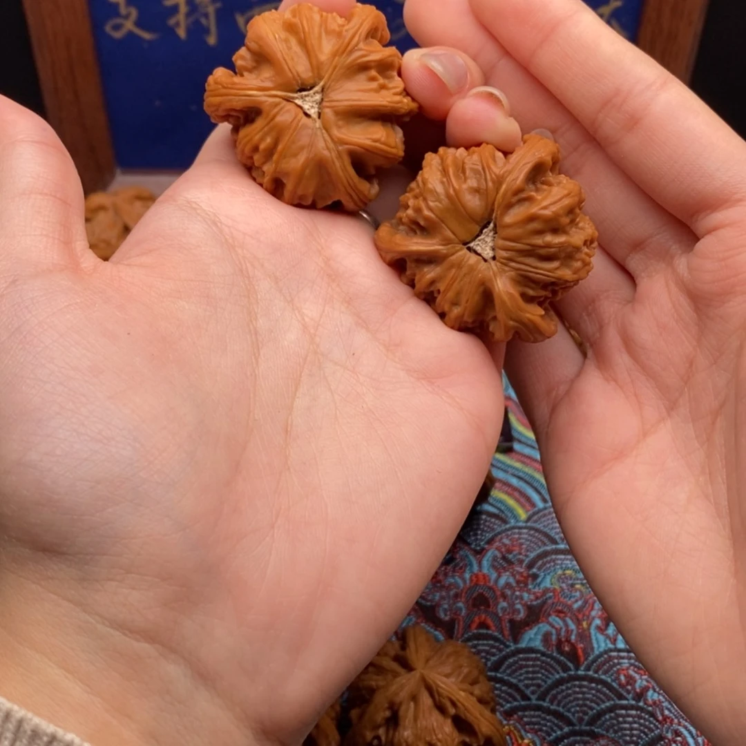 【闪购商品】李*宸白狮