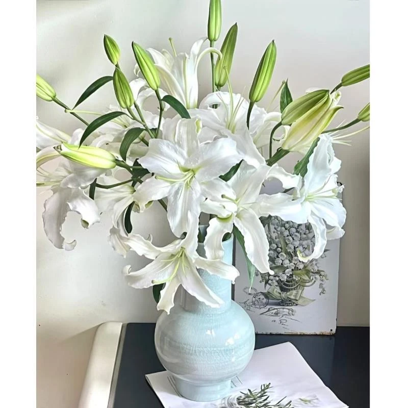 【西伯利亚百合】香水百合 花苞发货 收到需醒花 云南基地直发