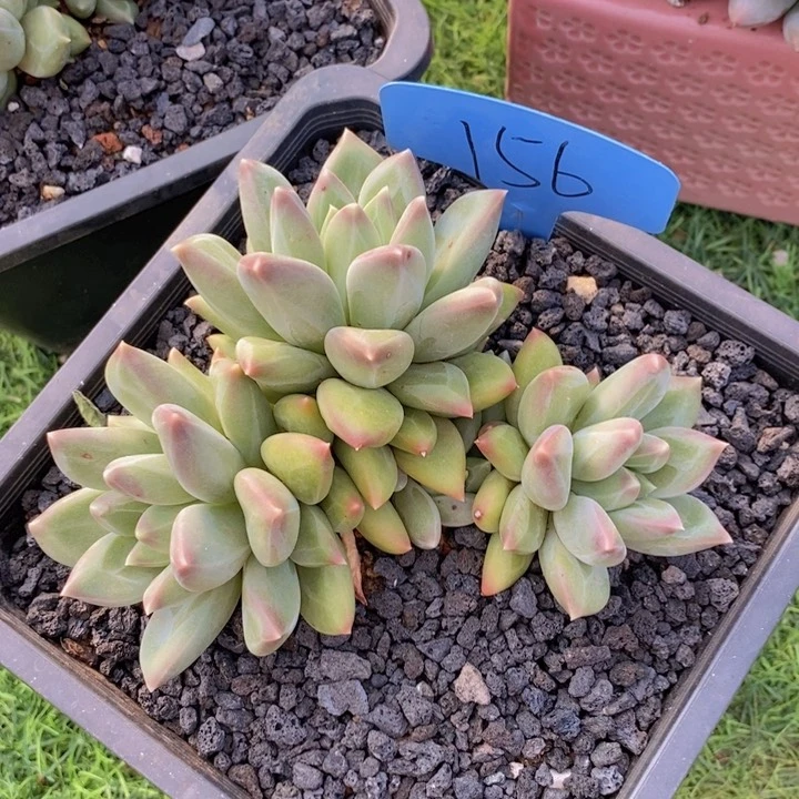 这些东西你就可以