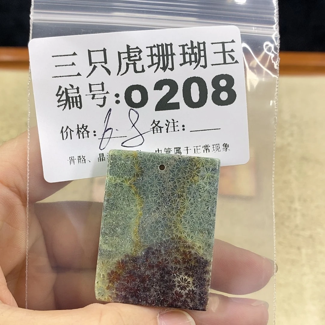 硅化珊瑚（珊瑚玉）1未镶嵌曾**时