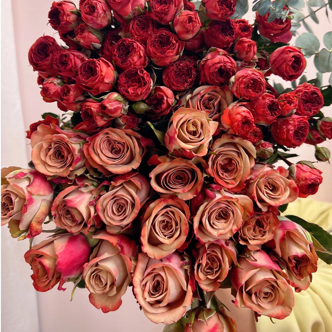 【巧克力+卡布奇诺】云南基地现采现发巧克力+卡布奇诺玫瑰花