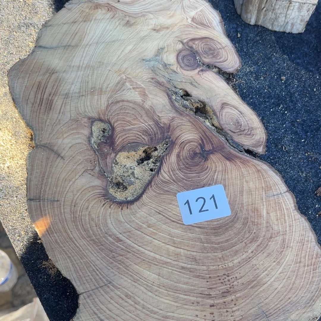 柏木南太行崖柏切片