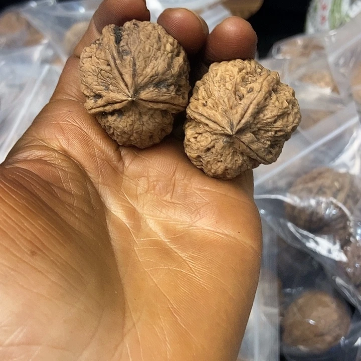 把件文玩核桃云南铁核桃基地17