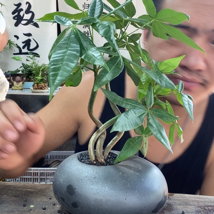 用***7无花朵退款拉黑拉黑49