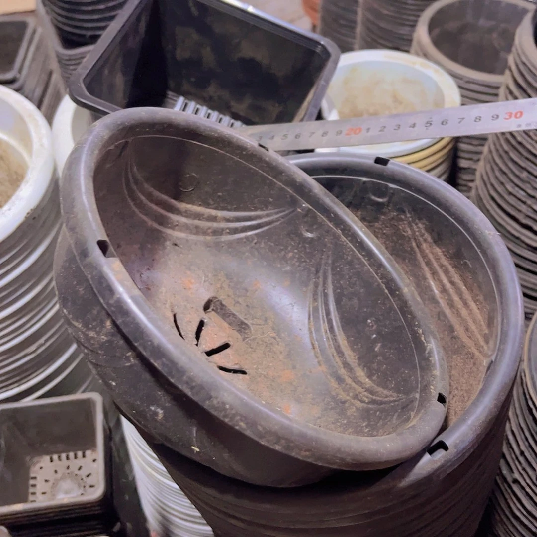 塑料旧21公分黑吊兰盆 10个