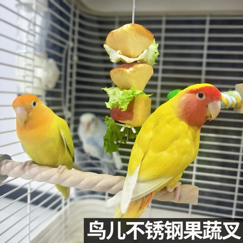 鹦鹉水果叉鸟用不锈钢水果架玄风虎皮牡丹果蔬喂食器鸟笼悬挂果夹