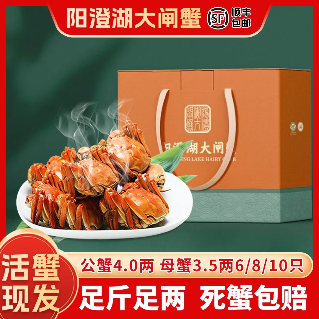 【阳澄湖大闸蟹】公蟹4.0两+母蟹3.5两6/8/10只顺丰发货高标准塘养