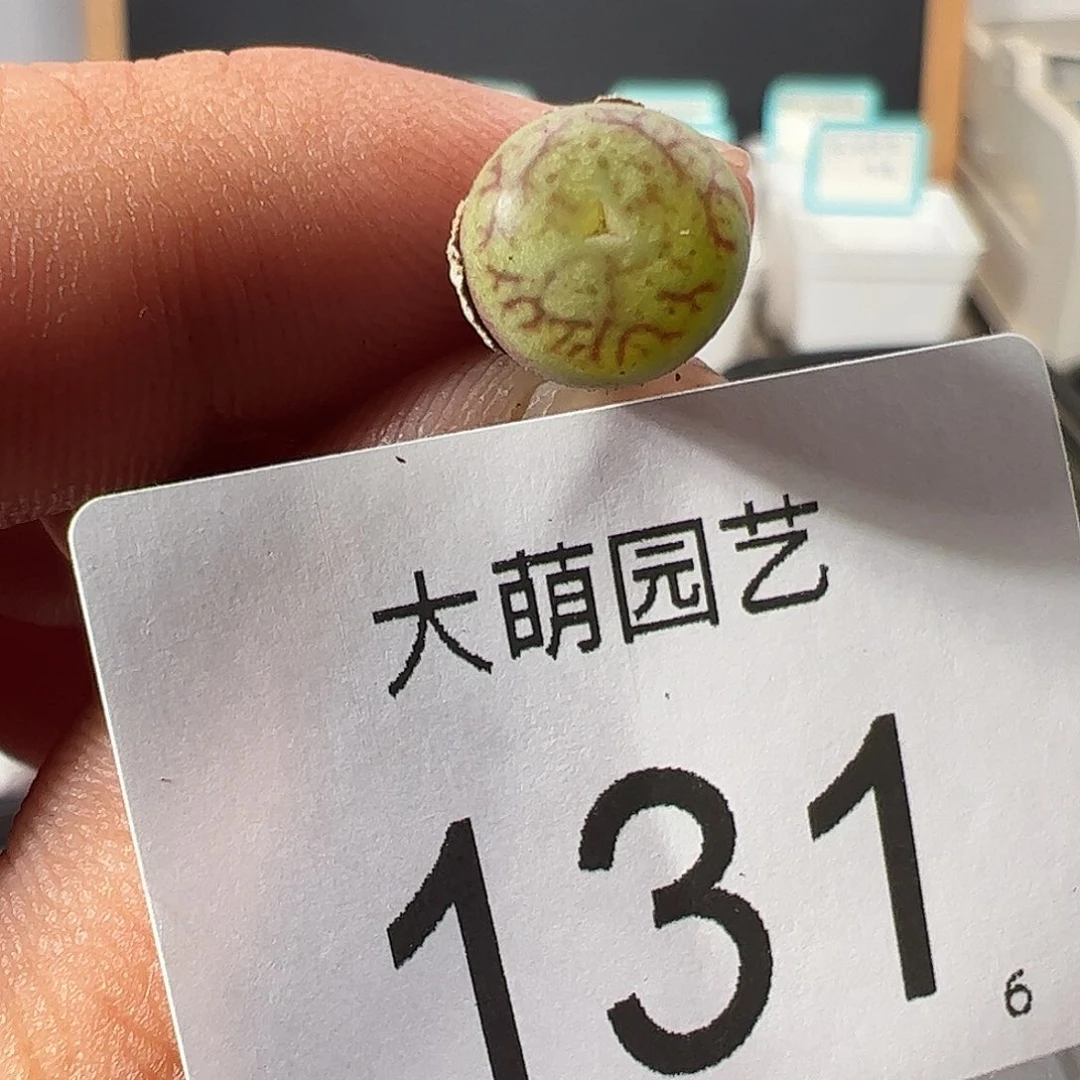 0000131 一物一拍……