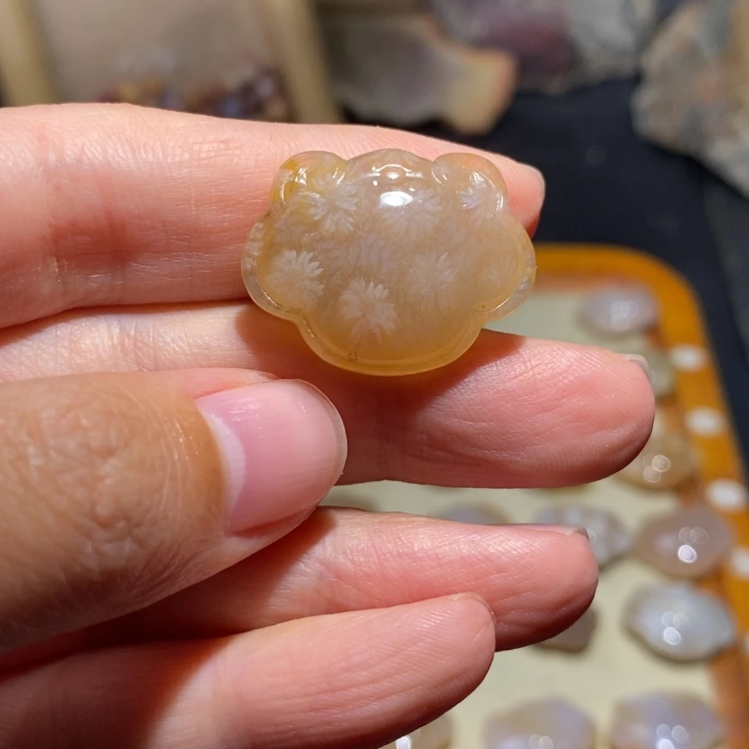 【闪购商品】硅化玉珊瑚玉未镶嵌铭*