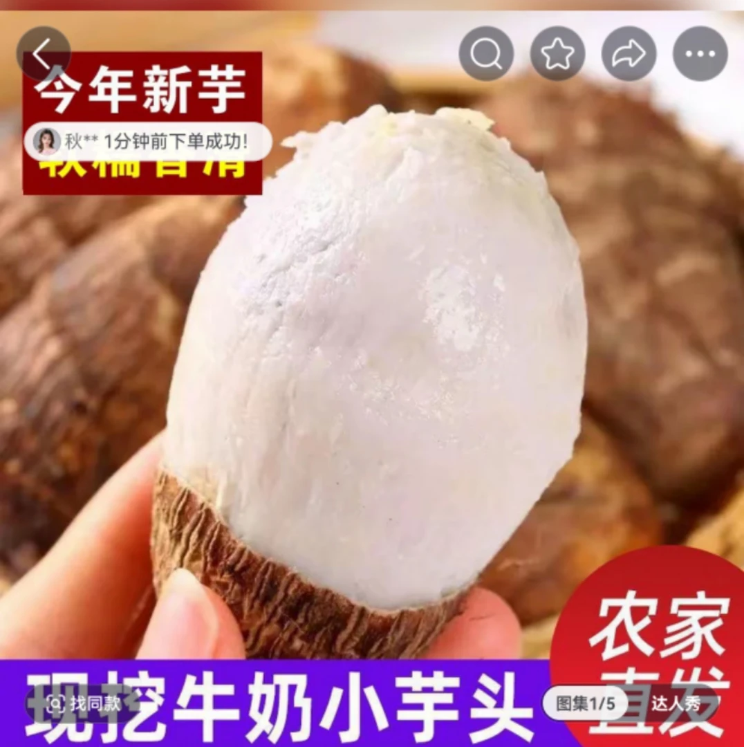 新鲜牛奶小芋头现挖山咔咔老农家芋艿粉糯香芋小毛芋头芋儿