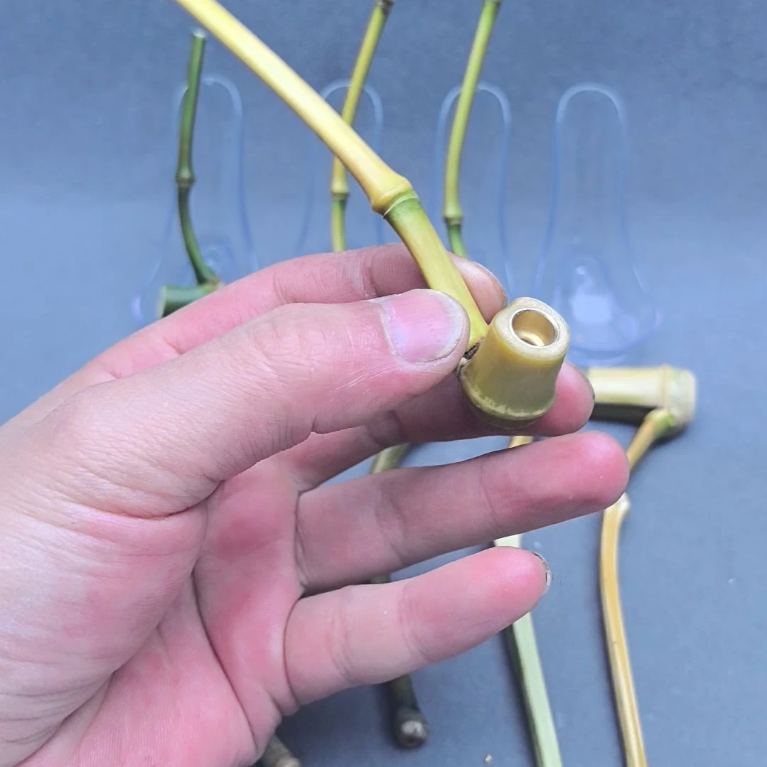 别****小竹子烟斗，粗中细可以用