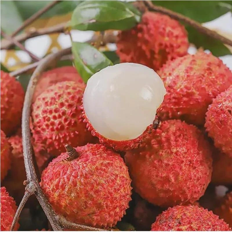 深圳南山荔枝桂味当季水果10斤冷链发货