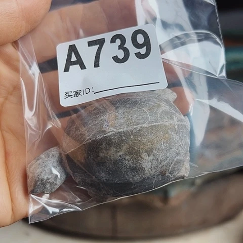 【闪购商品】琉璃手工艺品元A00739 a a a