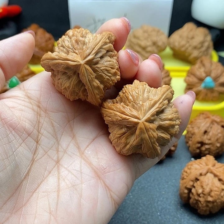 月***鸟文玩核桃把件38白狮子