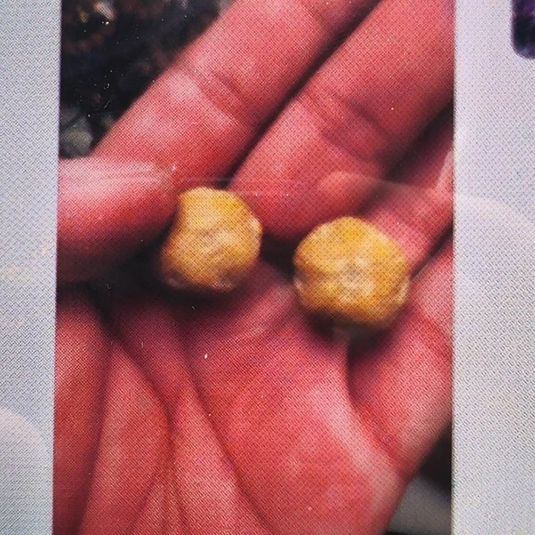 凤眼菩提手串凤眼