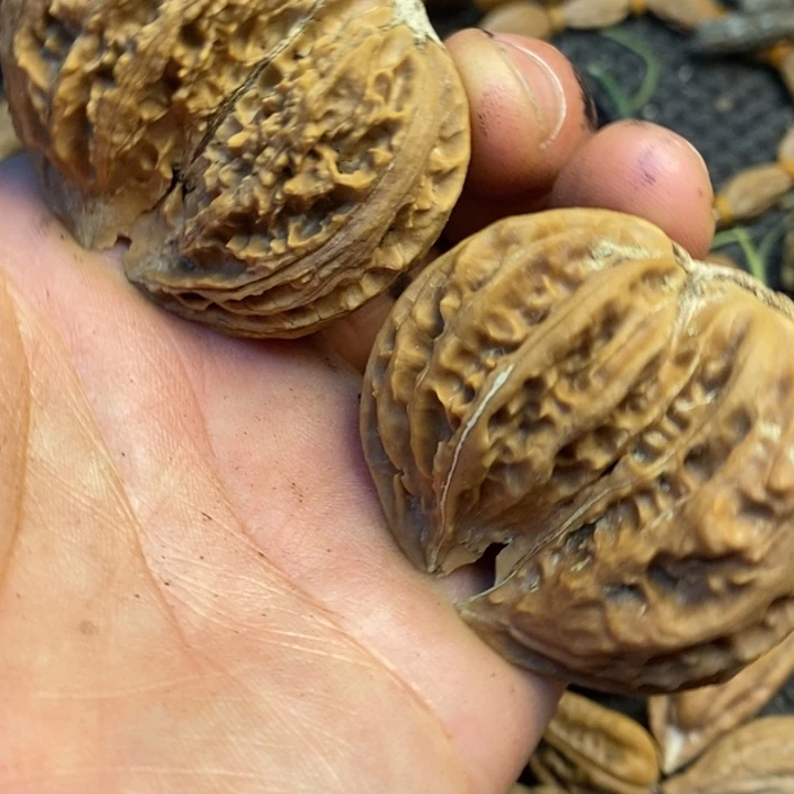 文玩核桃吊坠^_^阿姐199