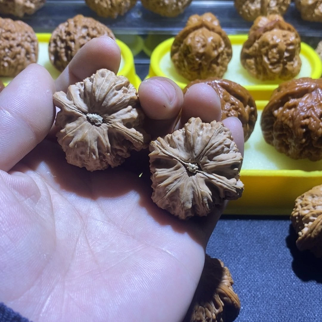 @****）全品白狮子40！！！！！！！！！！